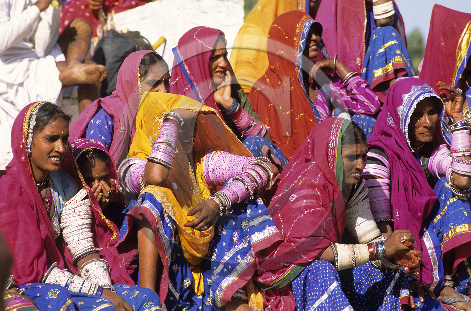 Rajasthan. Inde