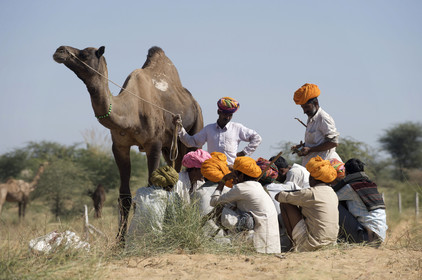 Inde, Pushkar