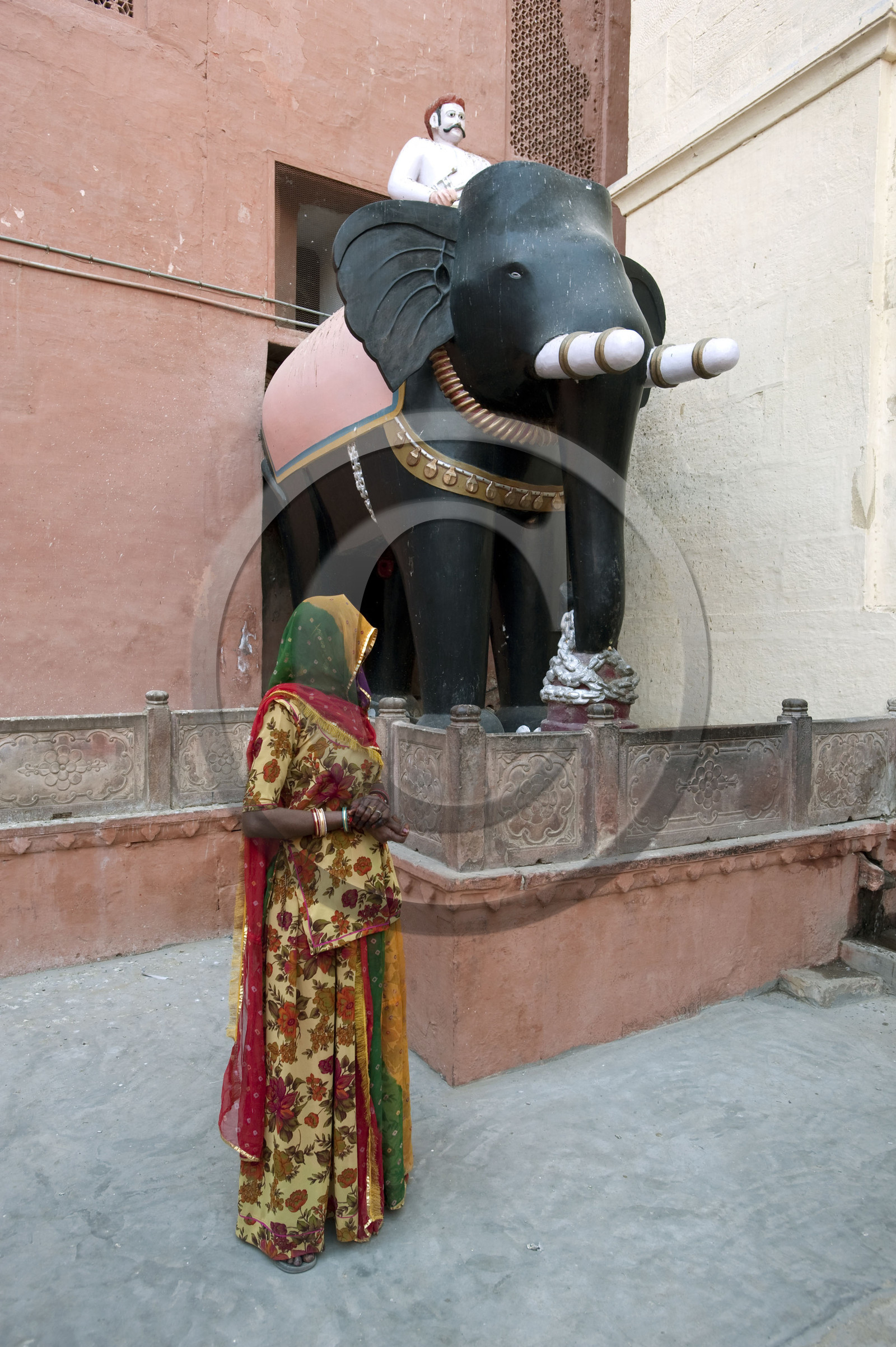 Inde, Rajasthan