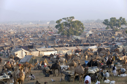 Inde, Pushkar