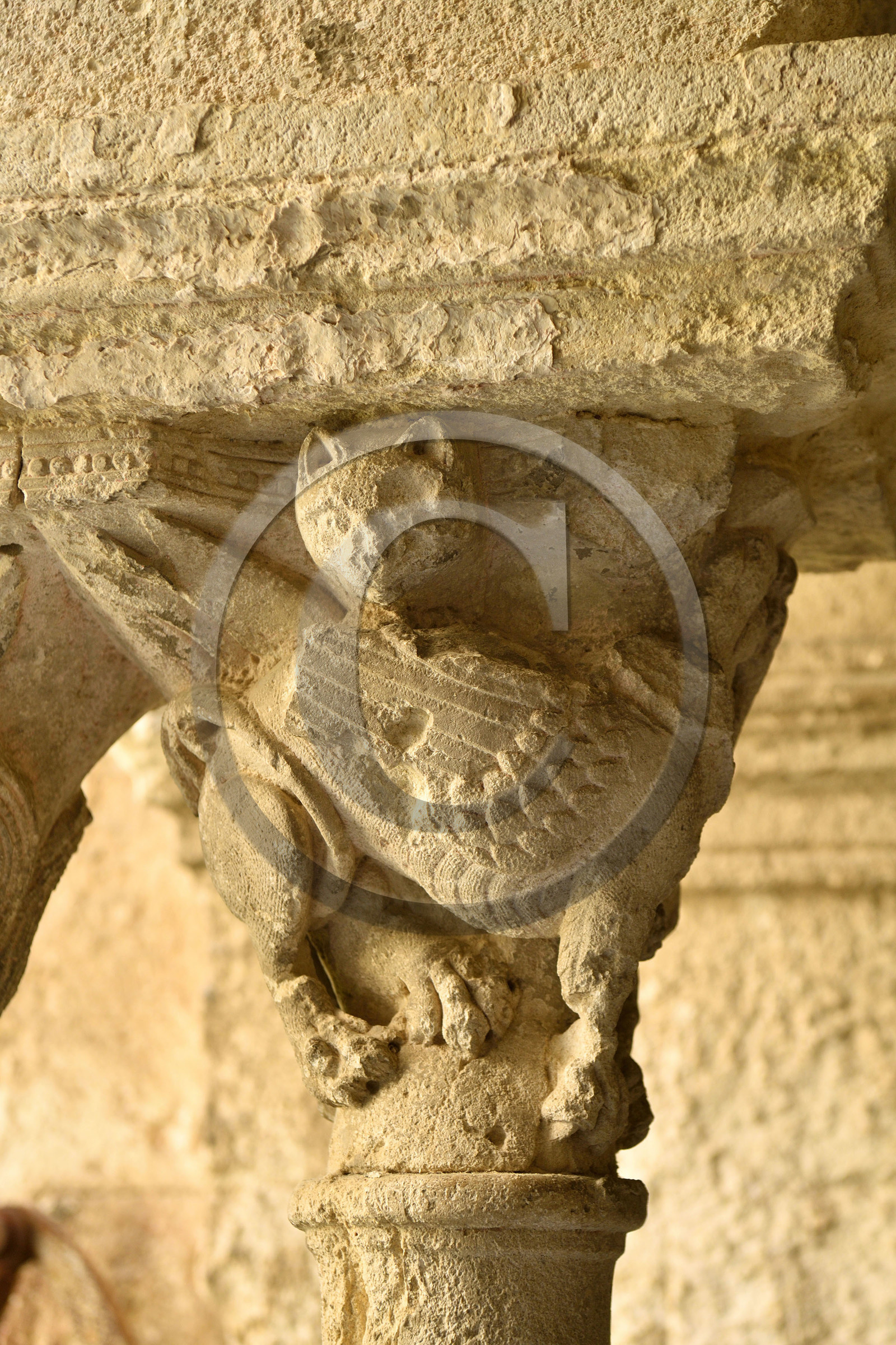 France, Saint Remy de Provence