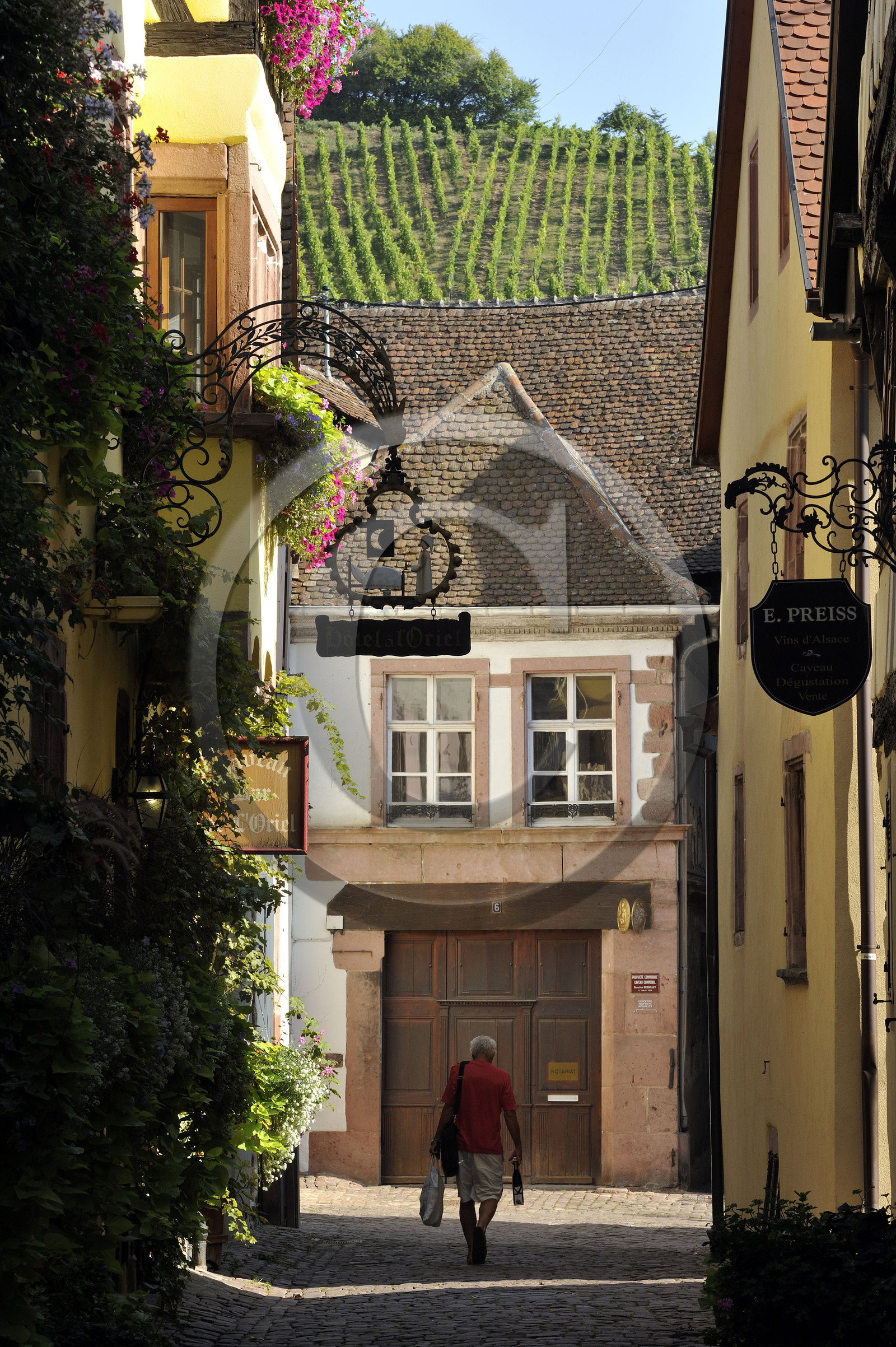 France, Riquewihr