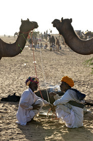 Inde, Pushkar