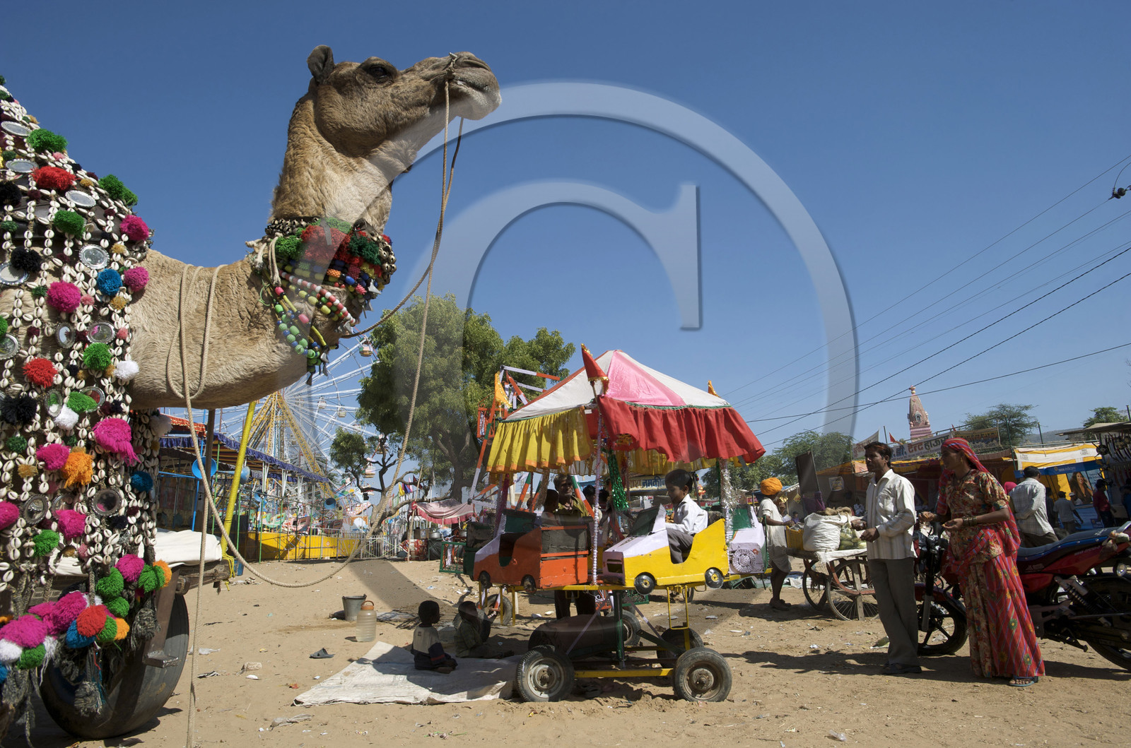 Inde, Pushkar