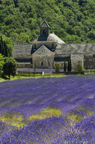 France, Senanque