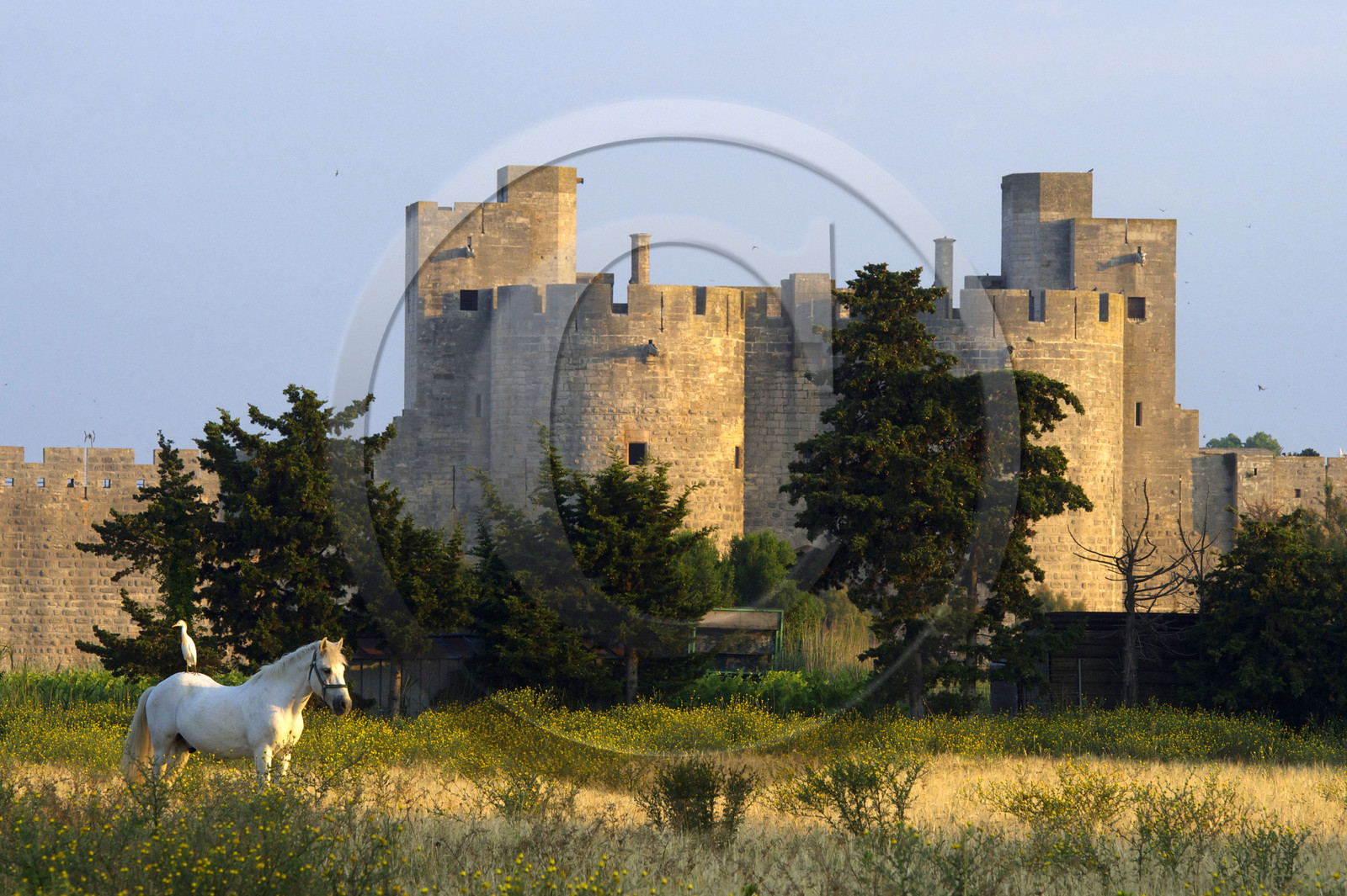 France, Aigues Mortes