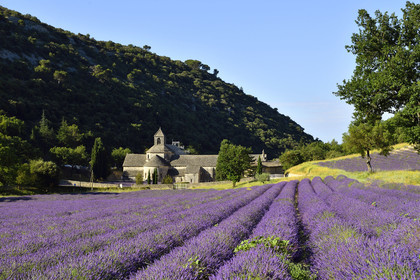 France, Senanque
