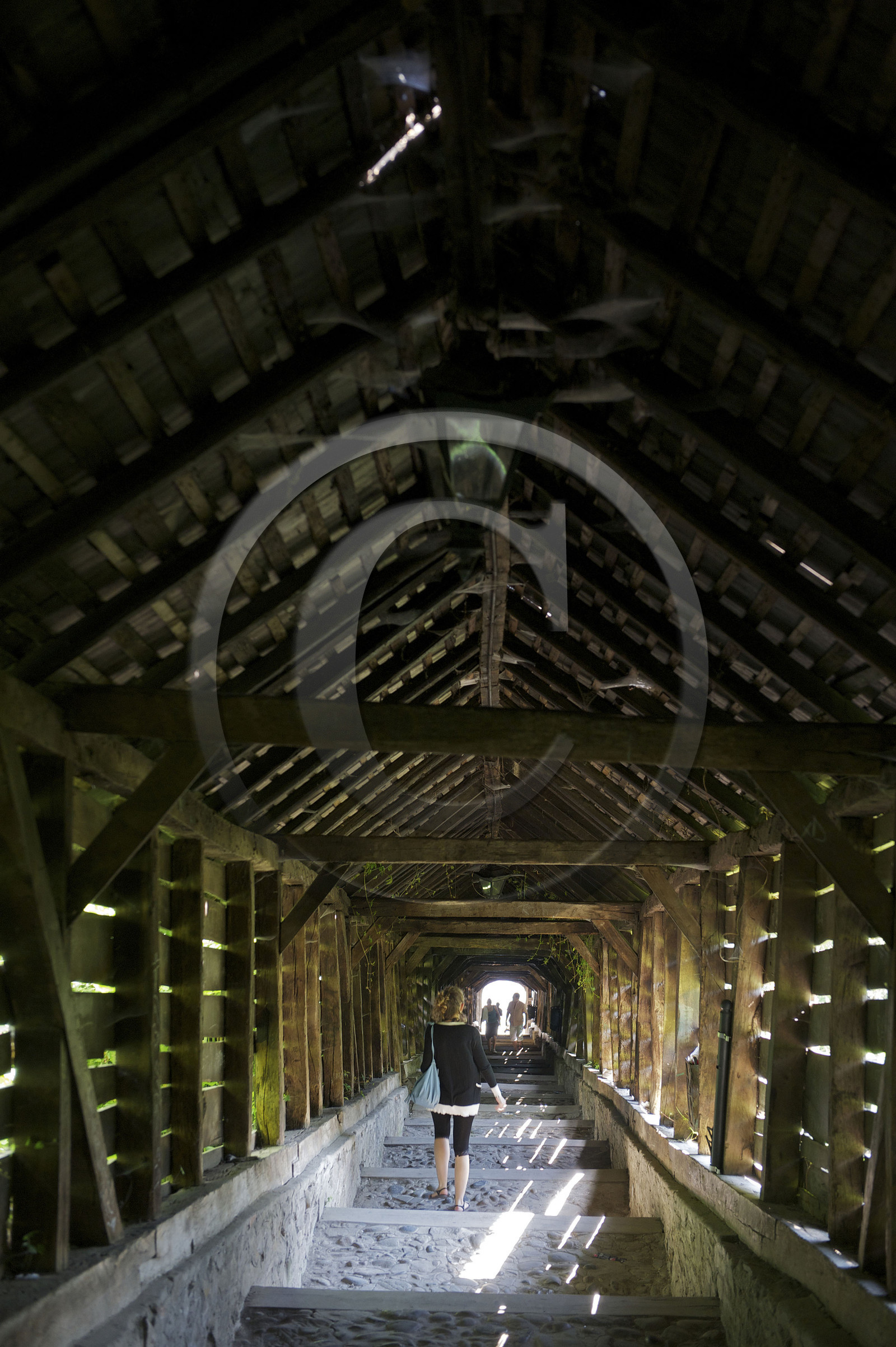 Roumanie, Sighisoara