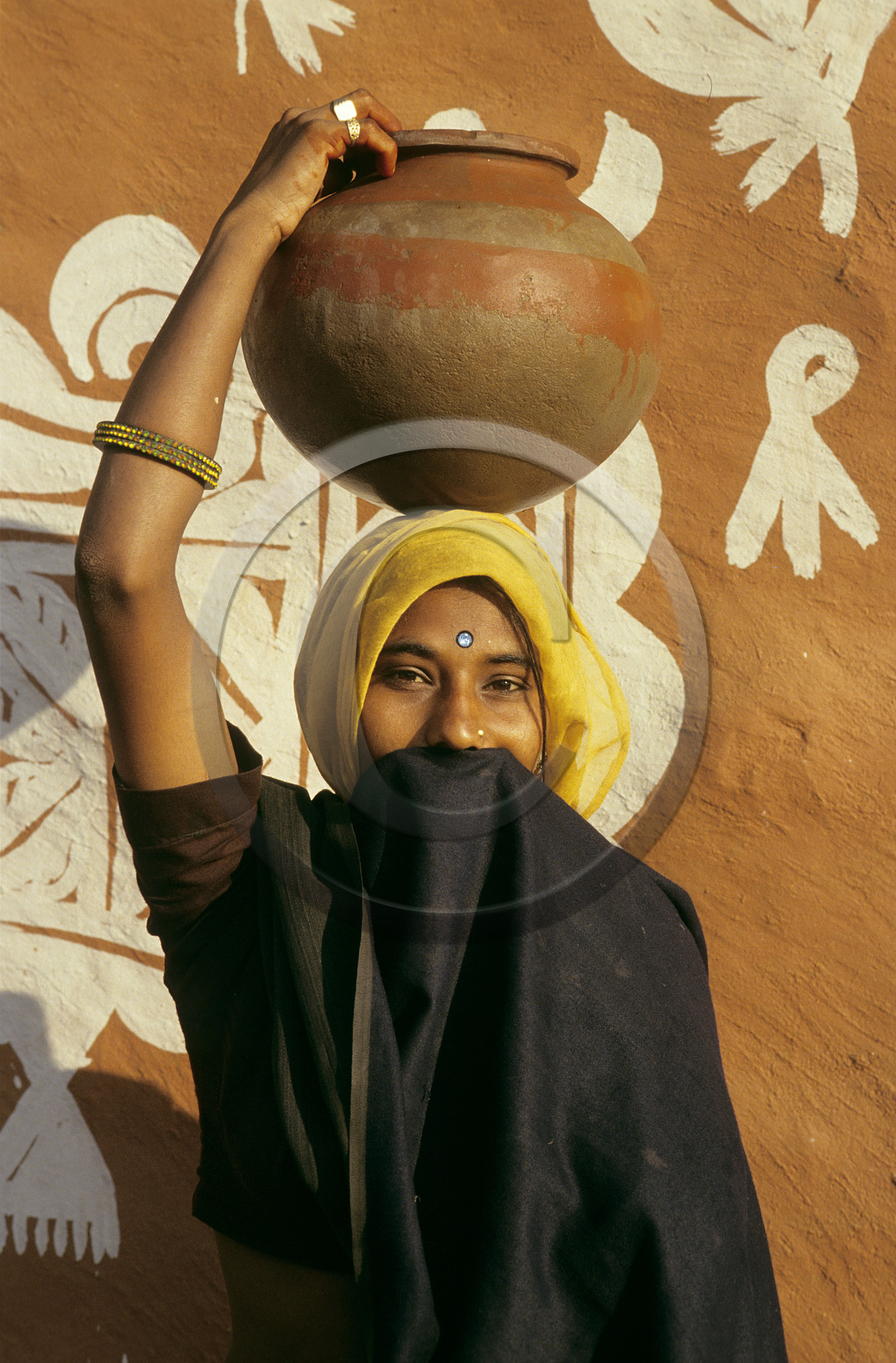 Rajasthan. Inde