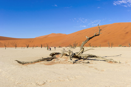 Namibie, Sossusvlei