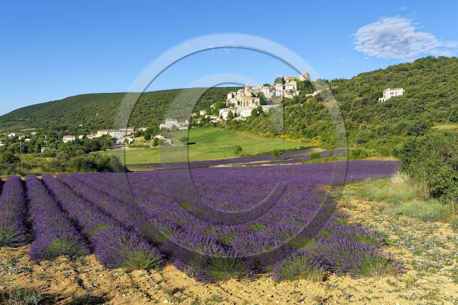 France, Simiane la Rotonde