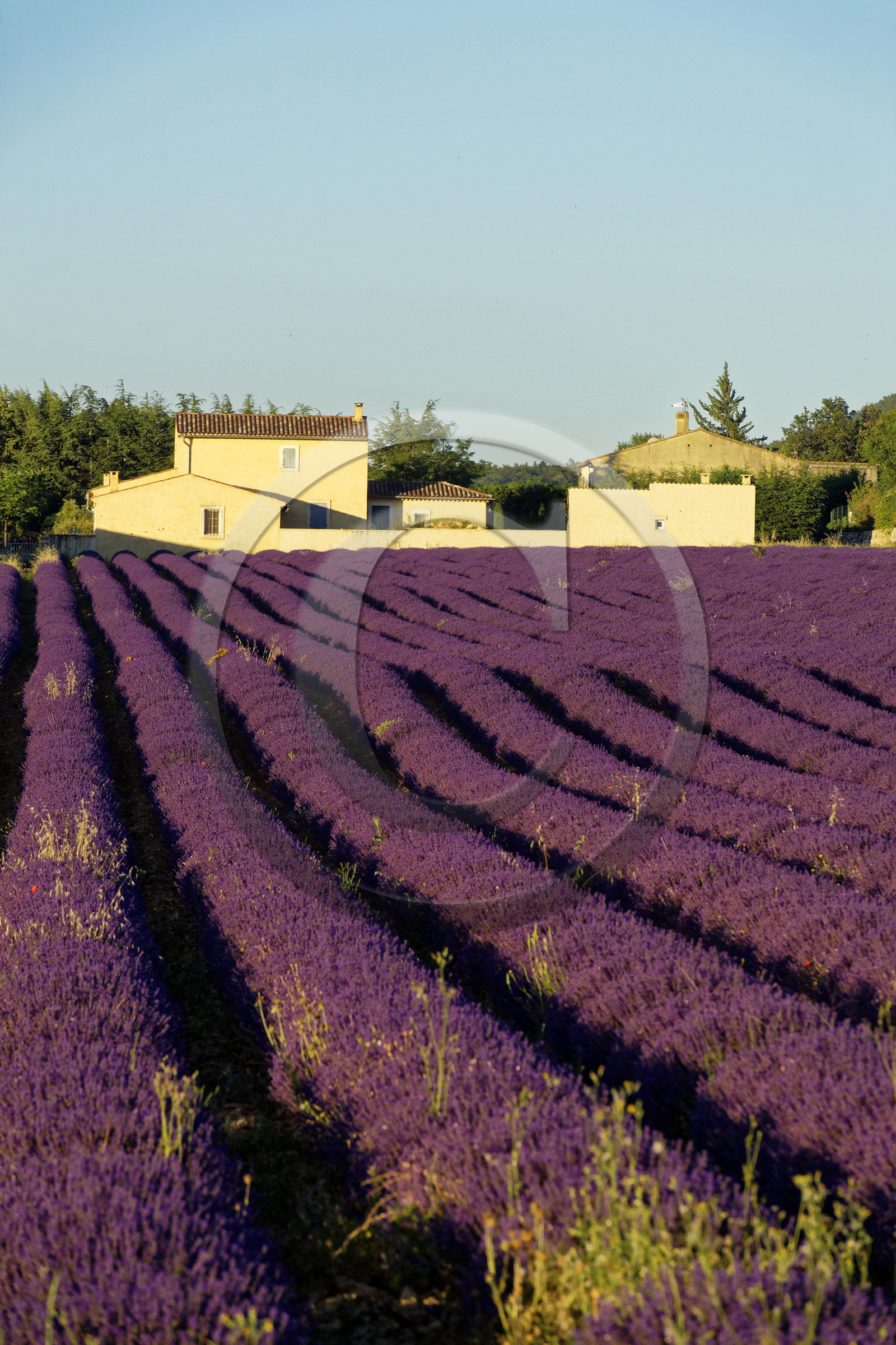 France, Simiane la Rotonde