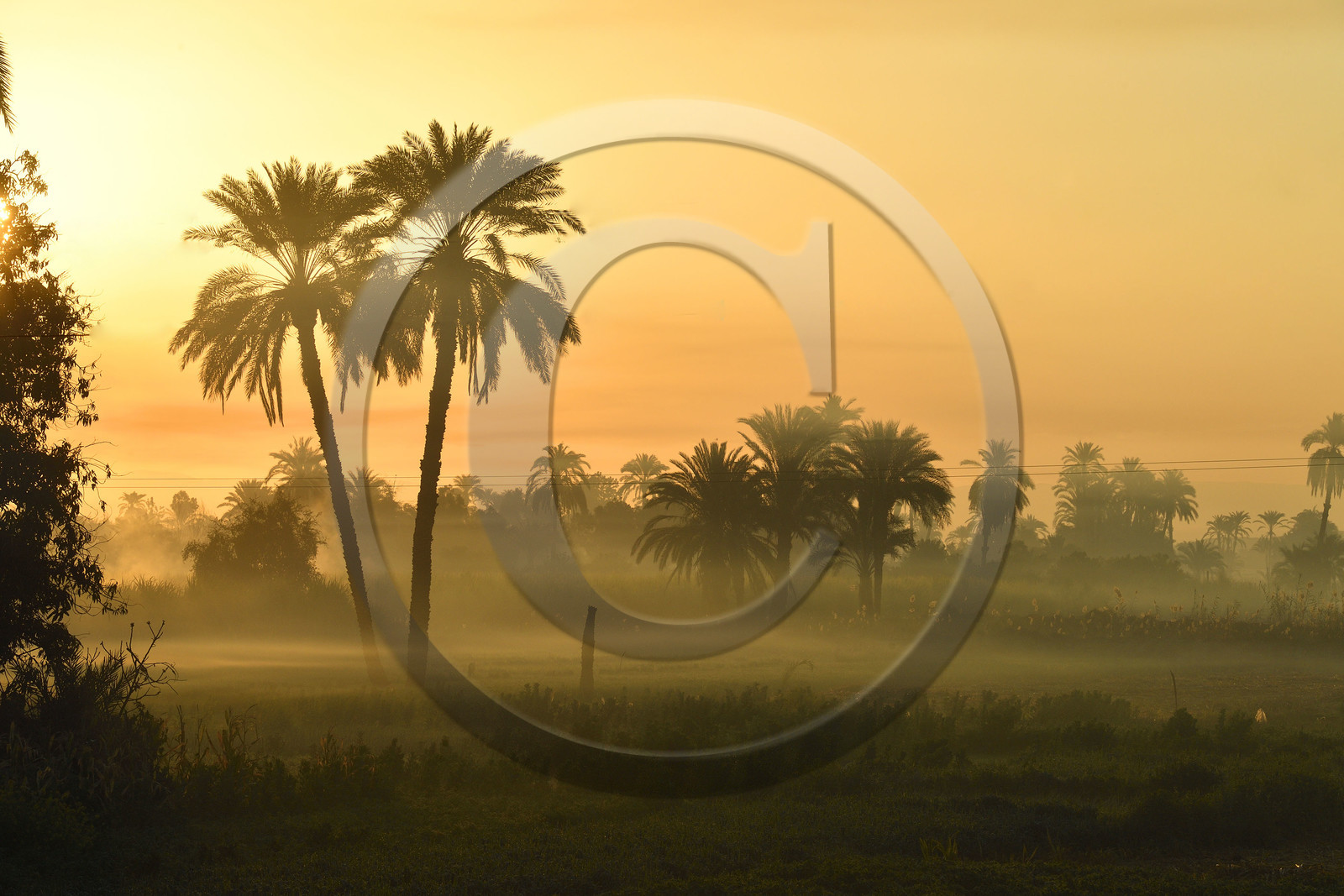 Egypte, Louxor