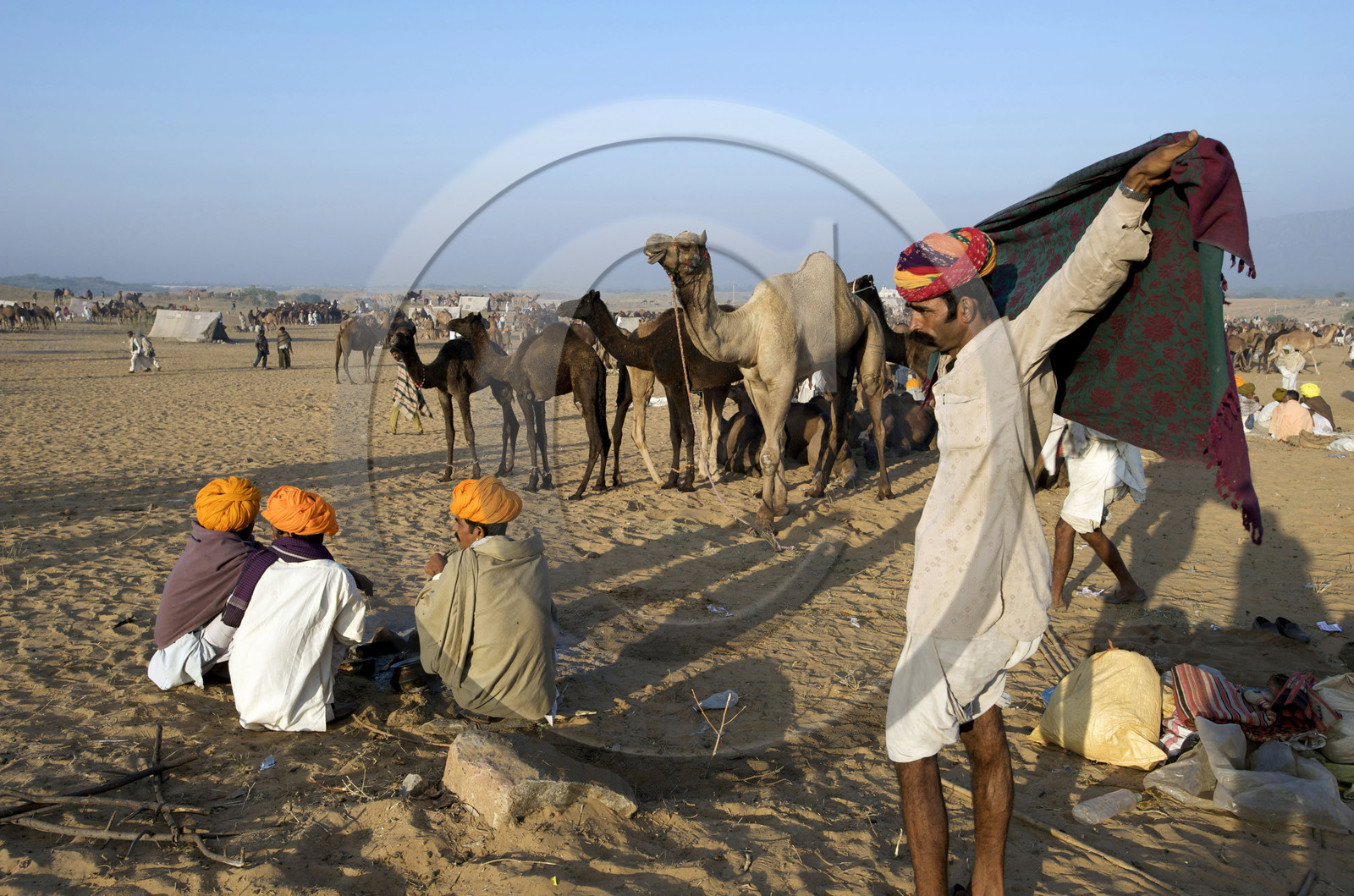 Inde, Pushkar