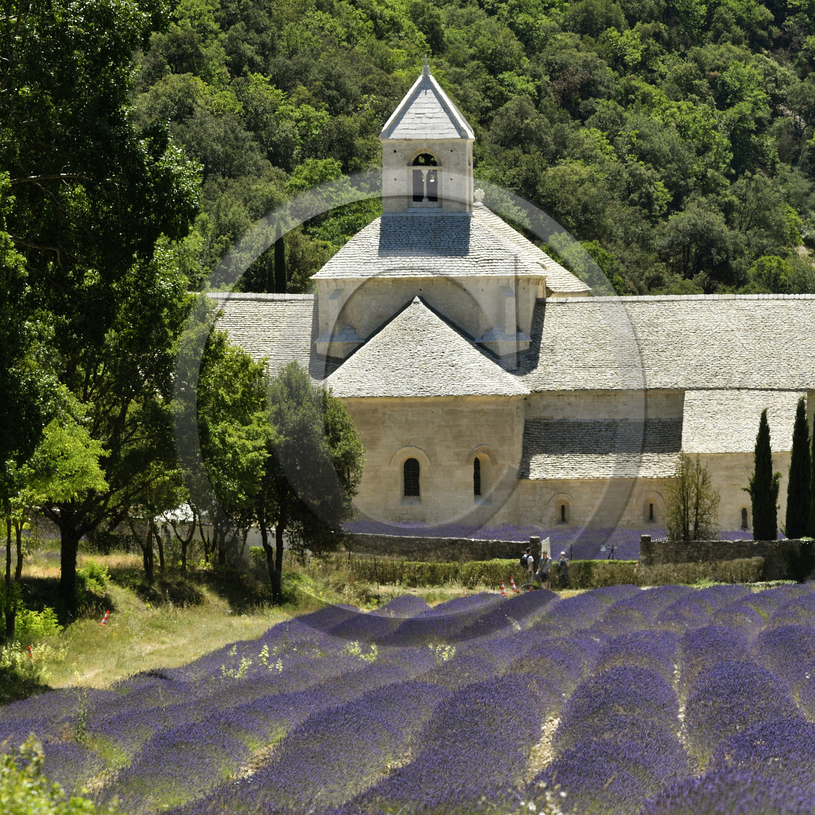 France, Senanque