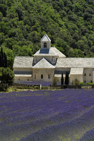 France, Senanque