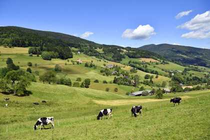 France, Orbey