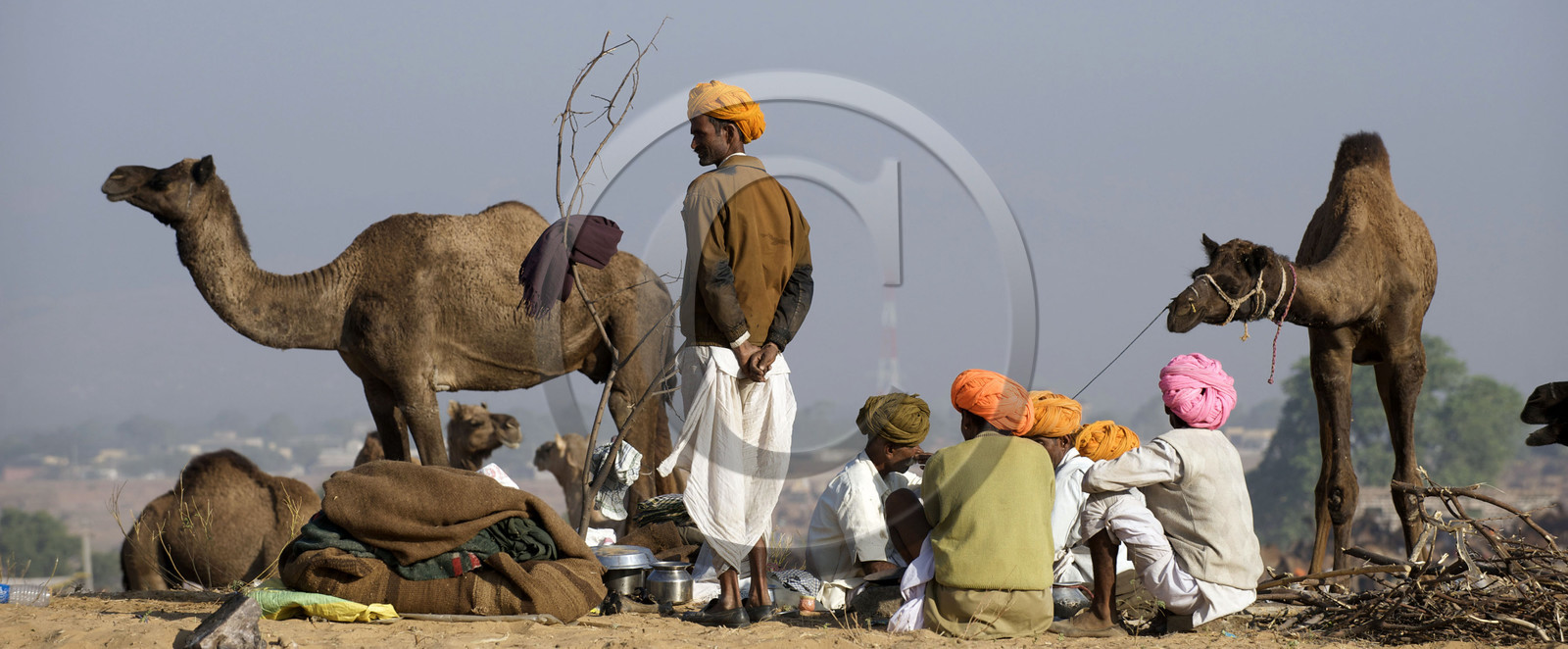 Inde, Pushkar