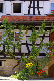 France, Hunspach