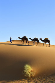 Maroc, Merzouga