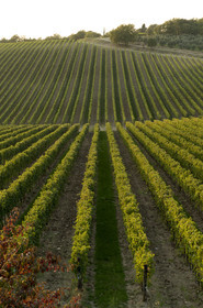 Italie, Toscane