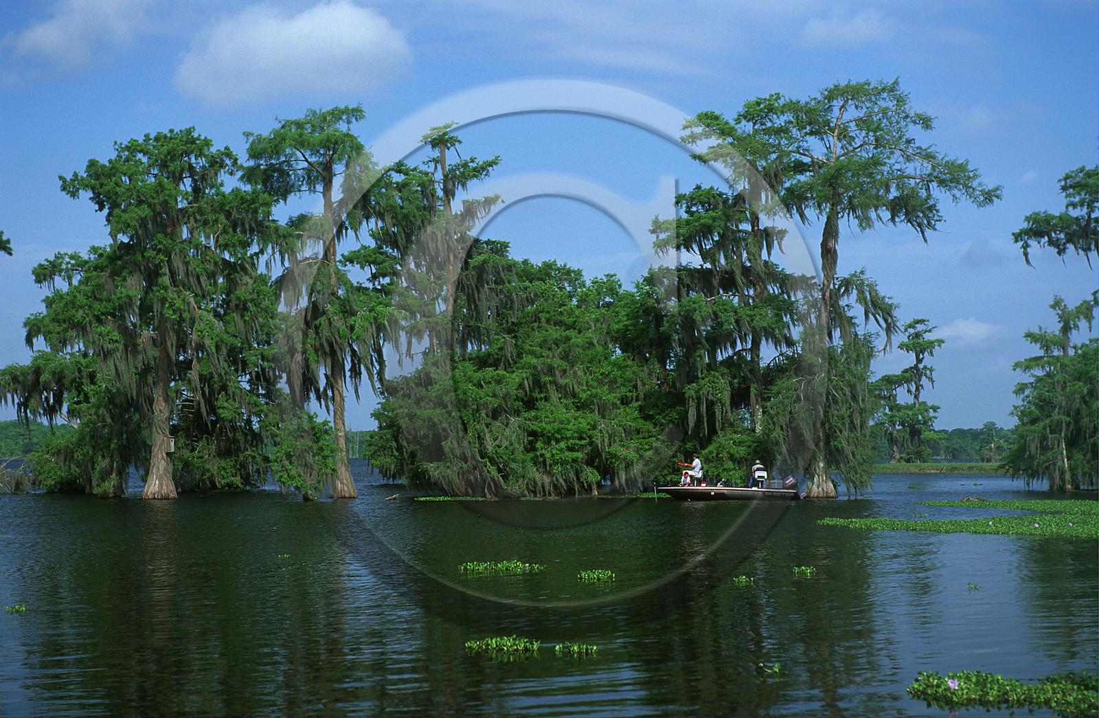 Louisiane, USA
