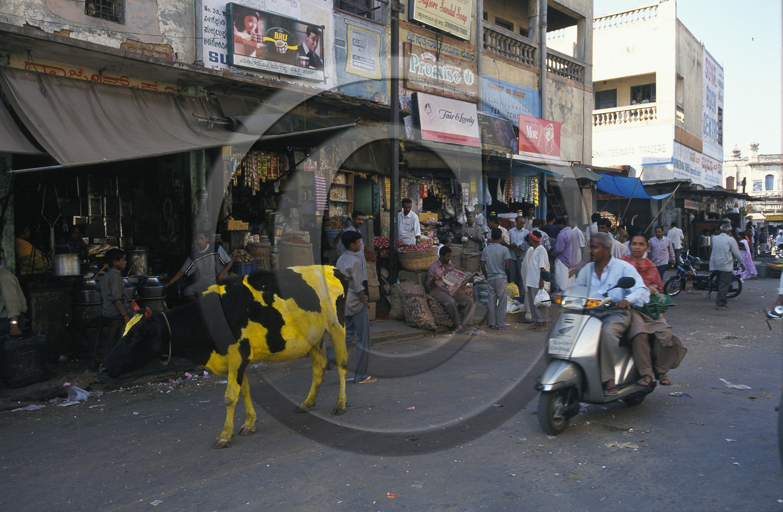 Inde du Sud
