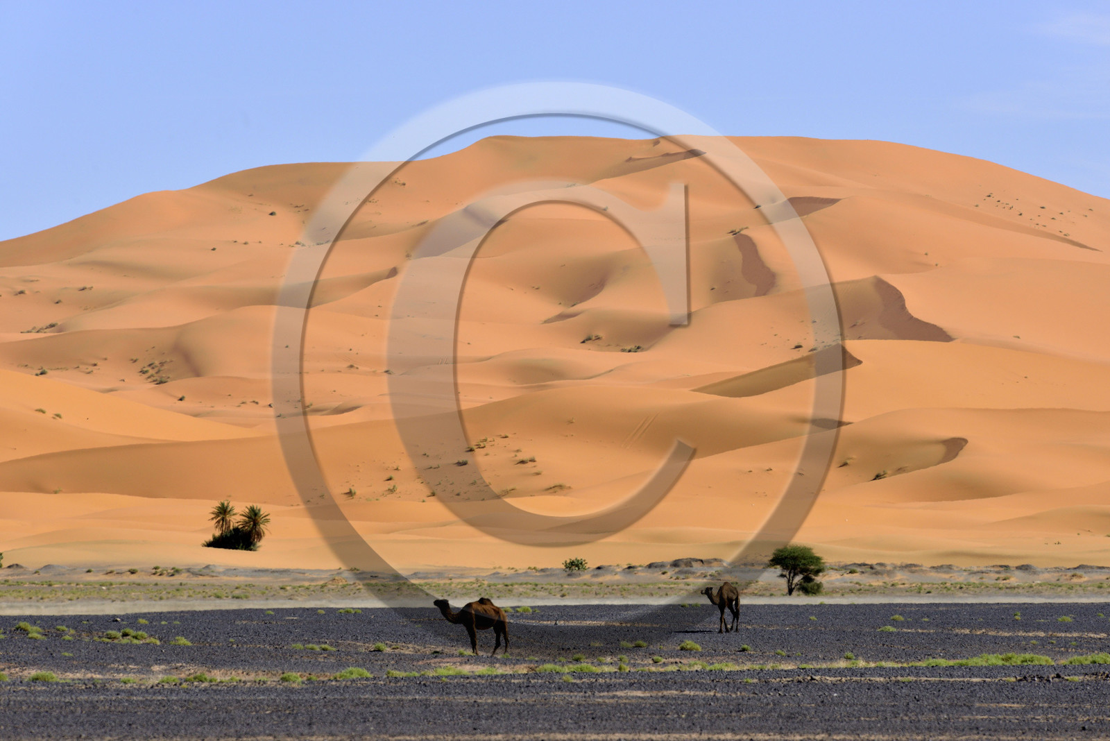 Maroc, Merzouga