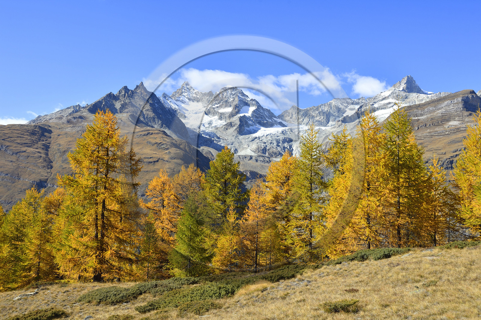 Suisse, Zermatt