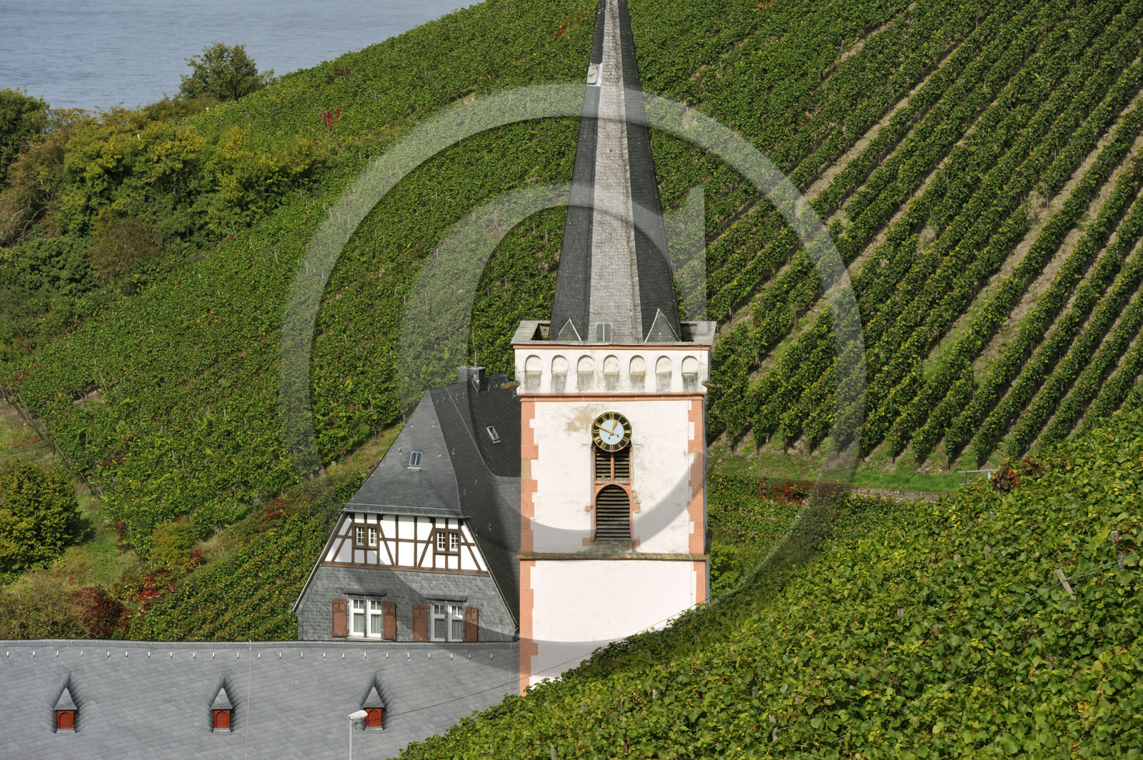 Allemangne, Rhin