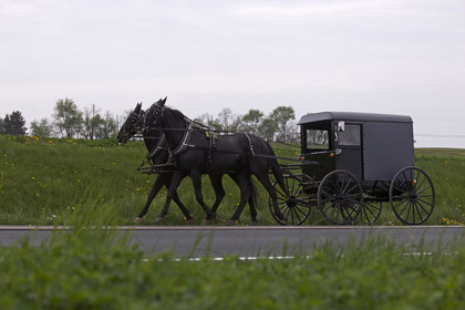 USA, Amish