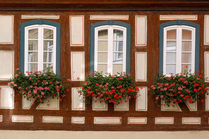 Allemagne, Rhin