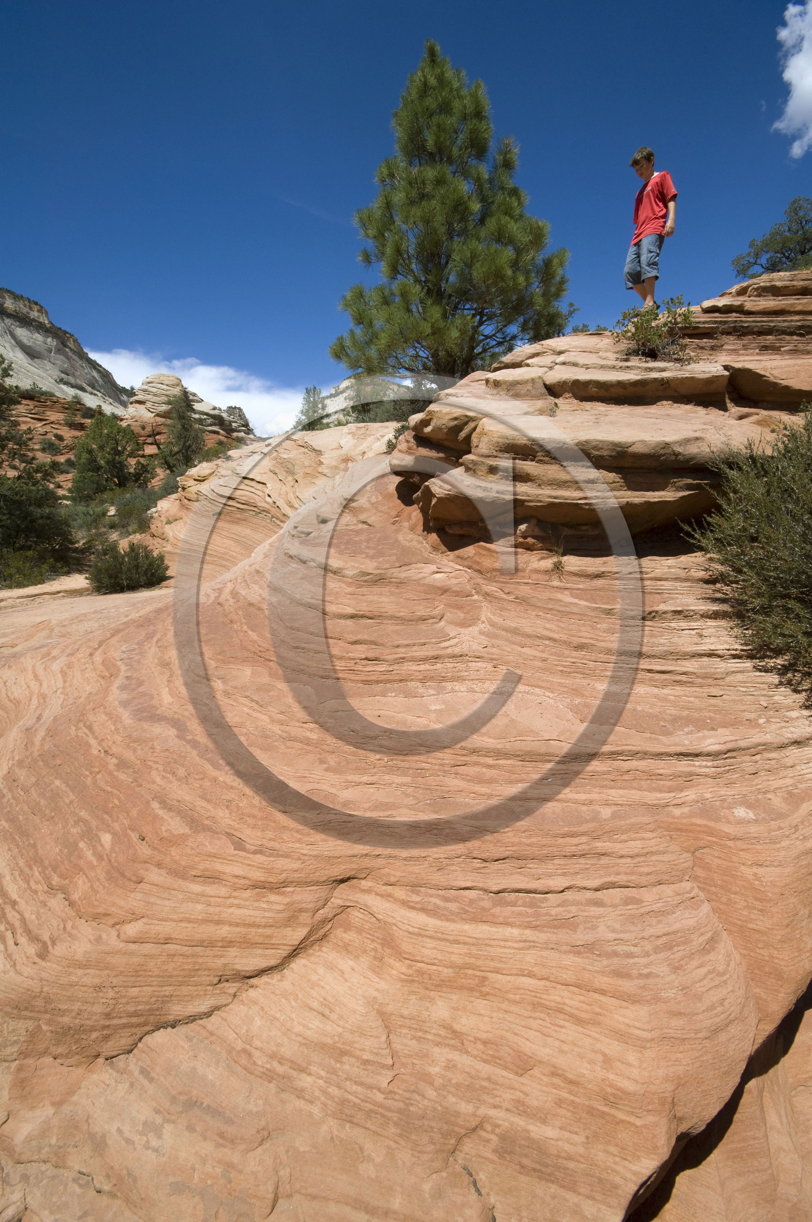 USA, ZION