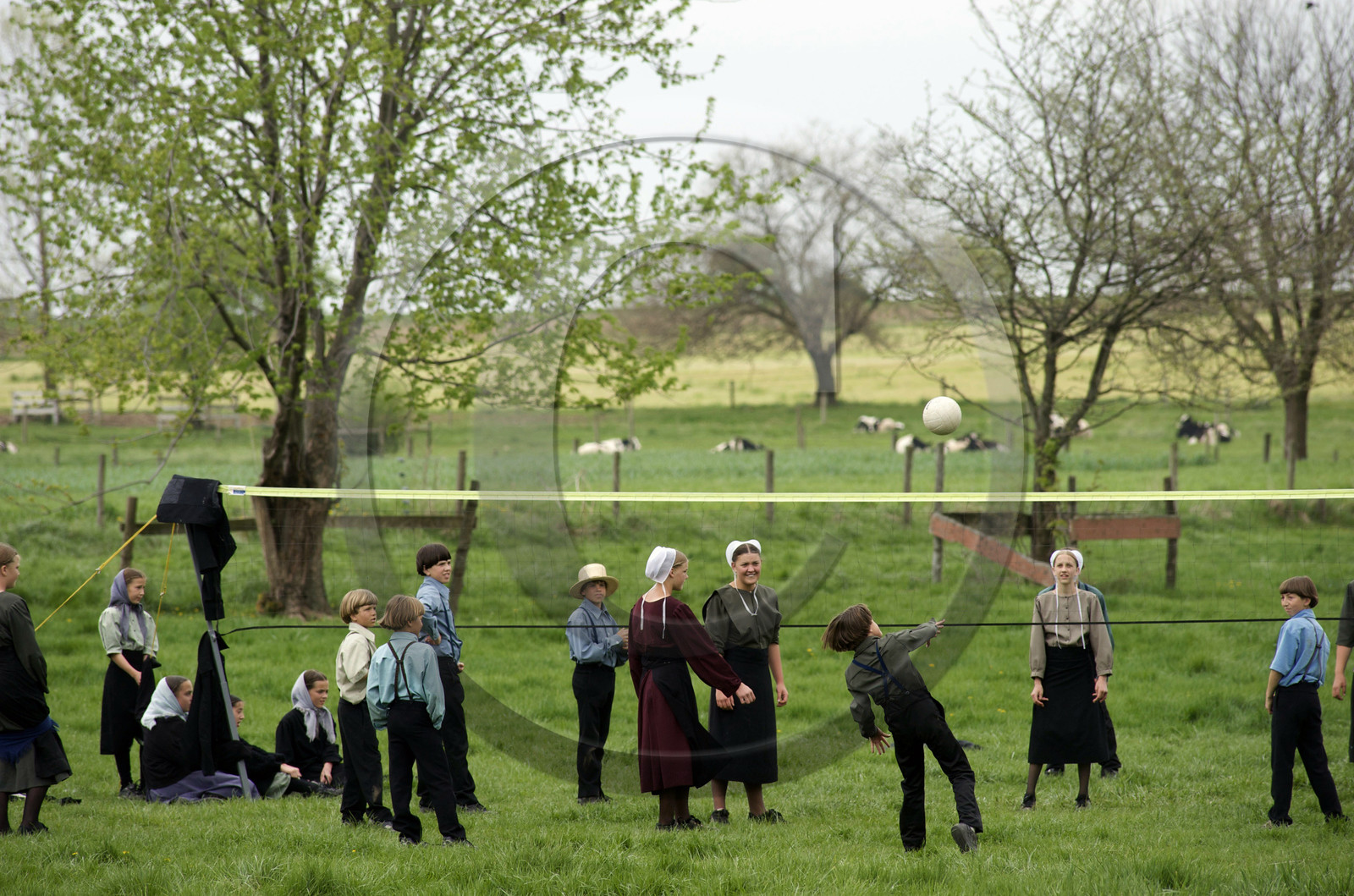 USA, Amish