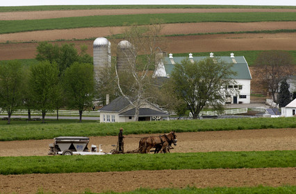 USA, Amish