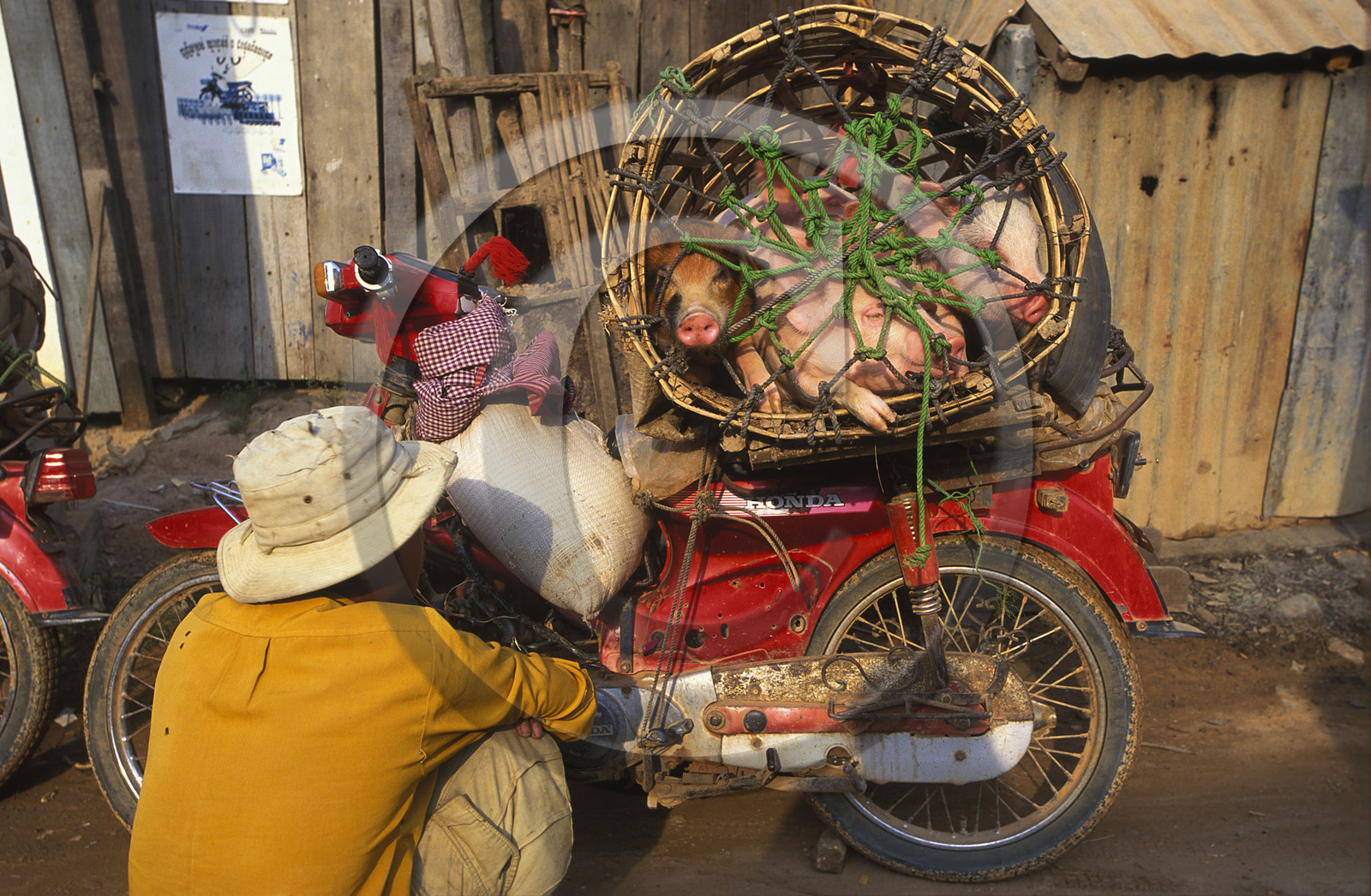 Siem Reap.Cambodge