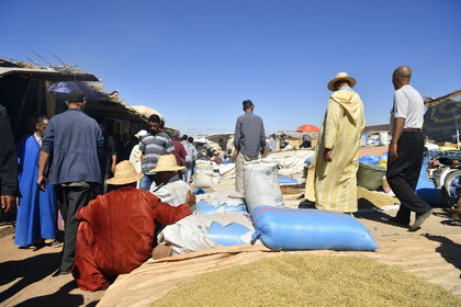 Maroc, Ourika