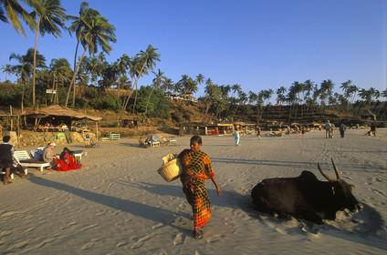 Inde du Sud