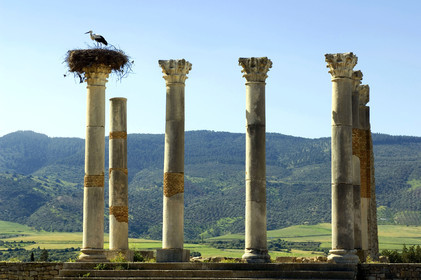Volubilis, Maroc