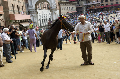 Italie, Siena