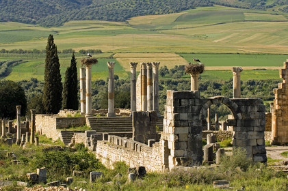 Volubilis, Maroc