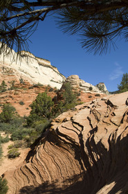 USA, ZION