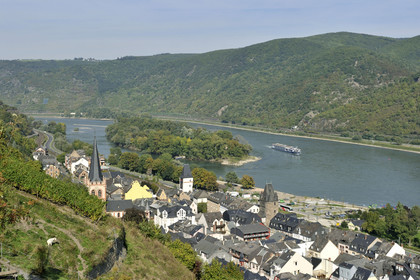 Allemagne, Rhin