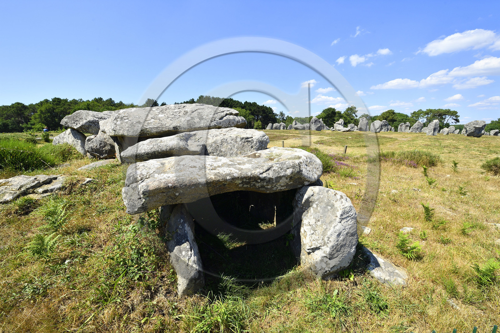 France, Carnac