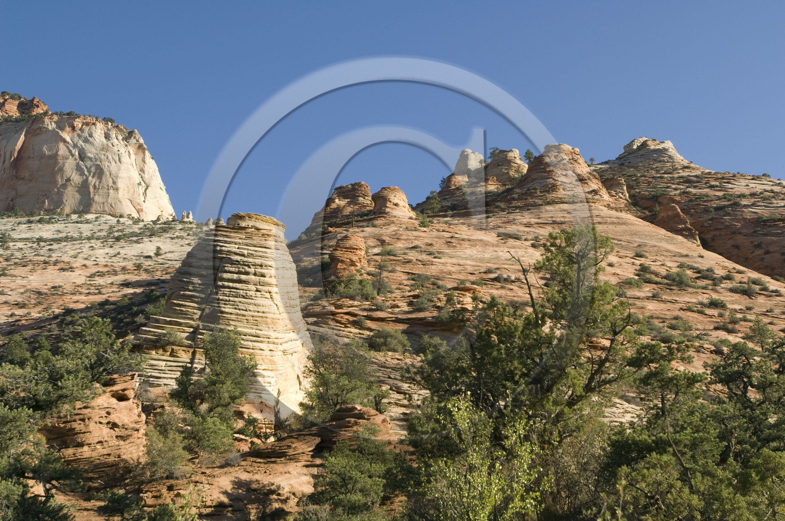 USA, ZION