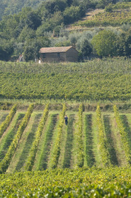 Toscana, Italia