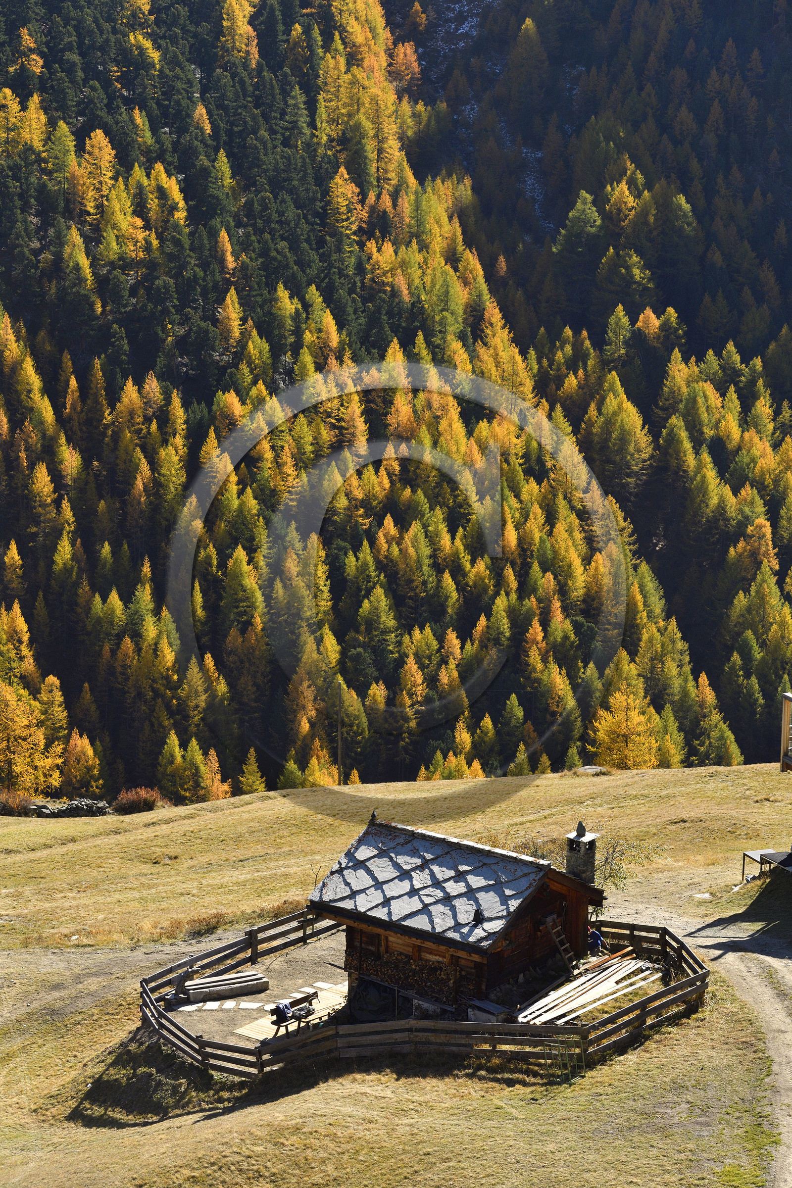 Suisse, Zermatt