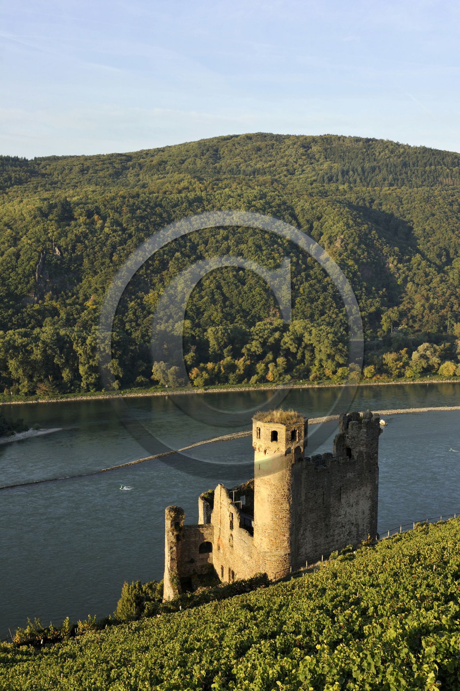 Allemangne, Rhin