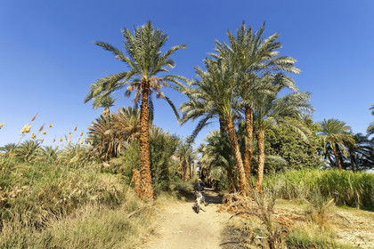 Egypte, Nil
