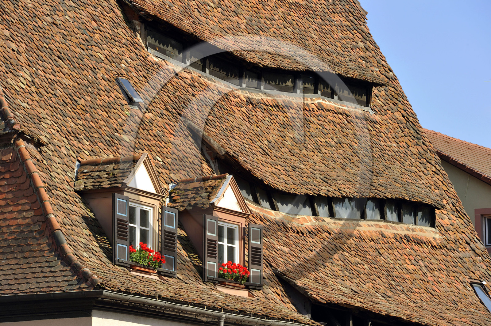France, Wissembourg